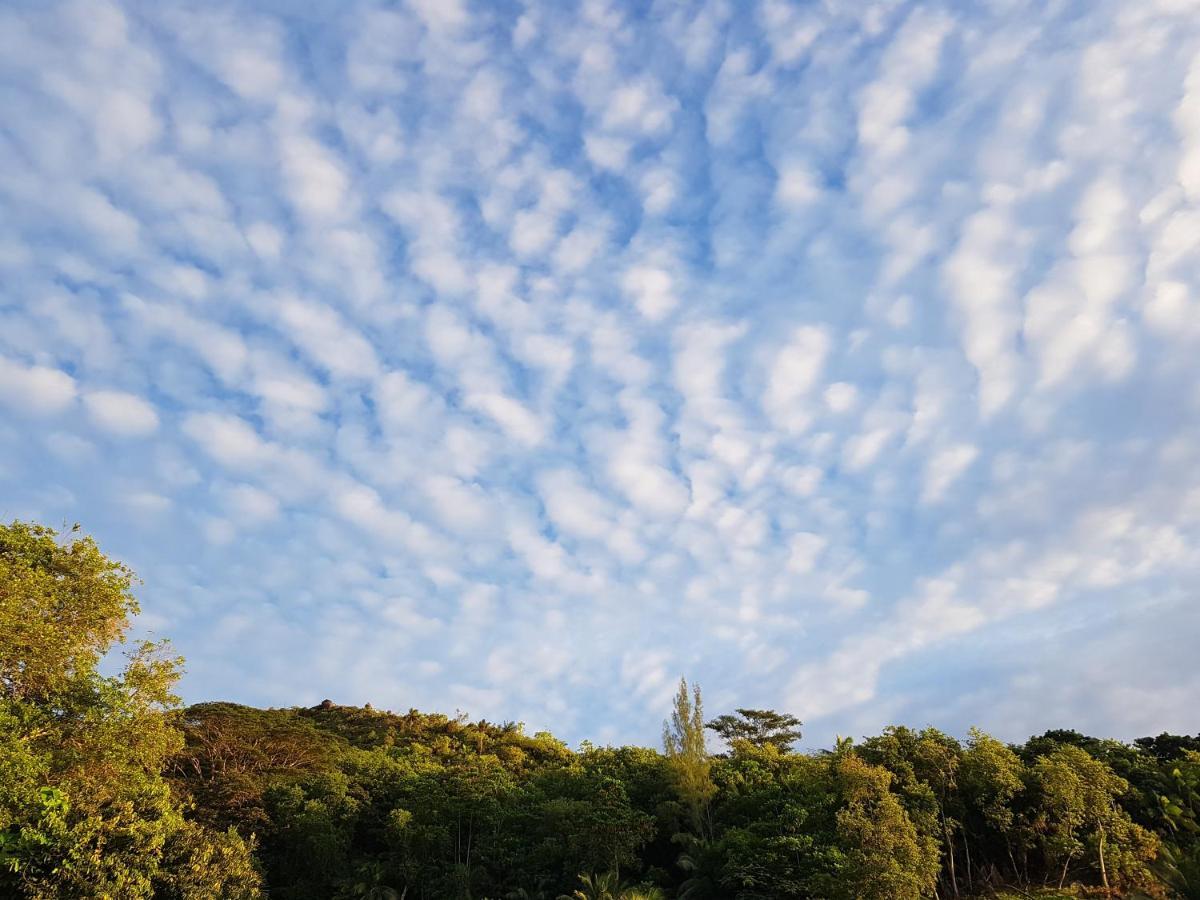 Bougainvillas Seychelles Анс Роял Екстериор снимка